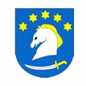 I OTWARTE MISTRZOSTWA KASZUB - DZIEMIANY 2013