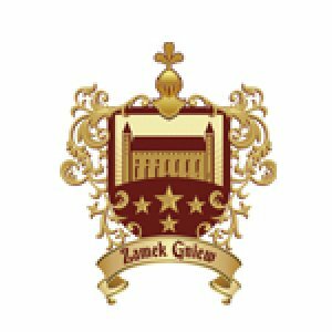 OTWARTE MISTRZOSTWA ZAMKU GNIEW W ARMWRESTLINGU