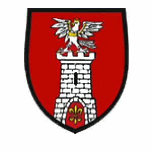 I Otwarte Mistrzostwa Powiatu Częstochowskiego w Armwrestlingu