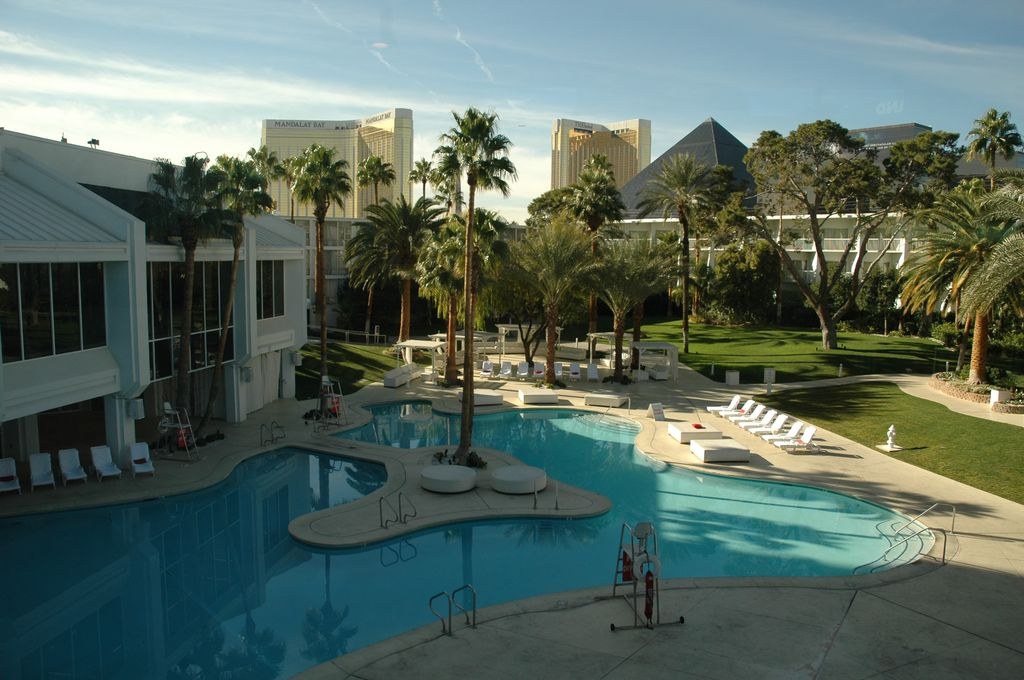 Armfight 40 Preparations