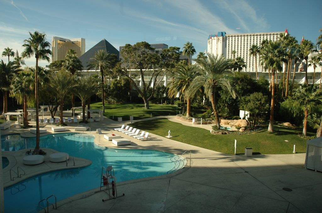 Armfight 40 Preparations