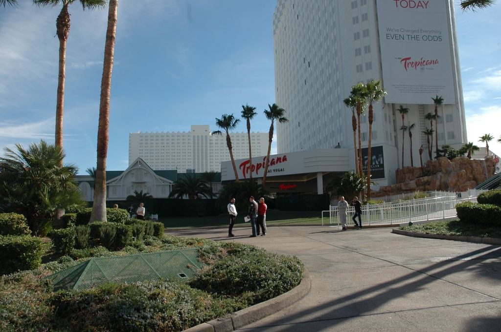 Armfight 40 Preparations