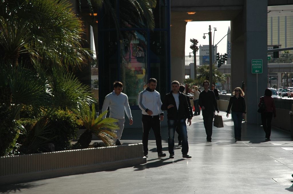 Armfight 40 Preparations