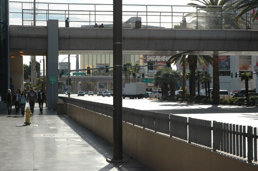 Armfight 40 Preparations