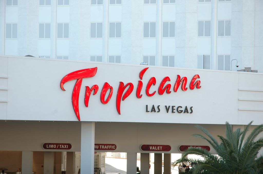 Armfight 40 Preparations