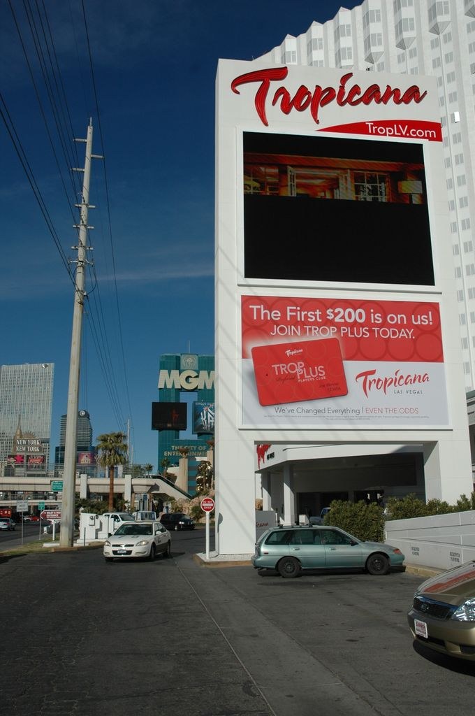 Armfight 40 Preparations