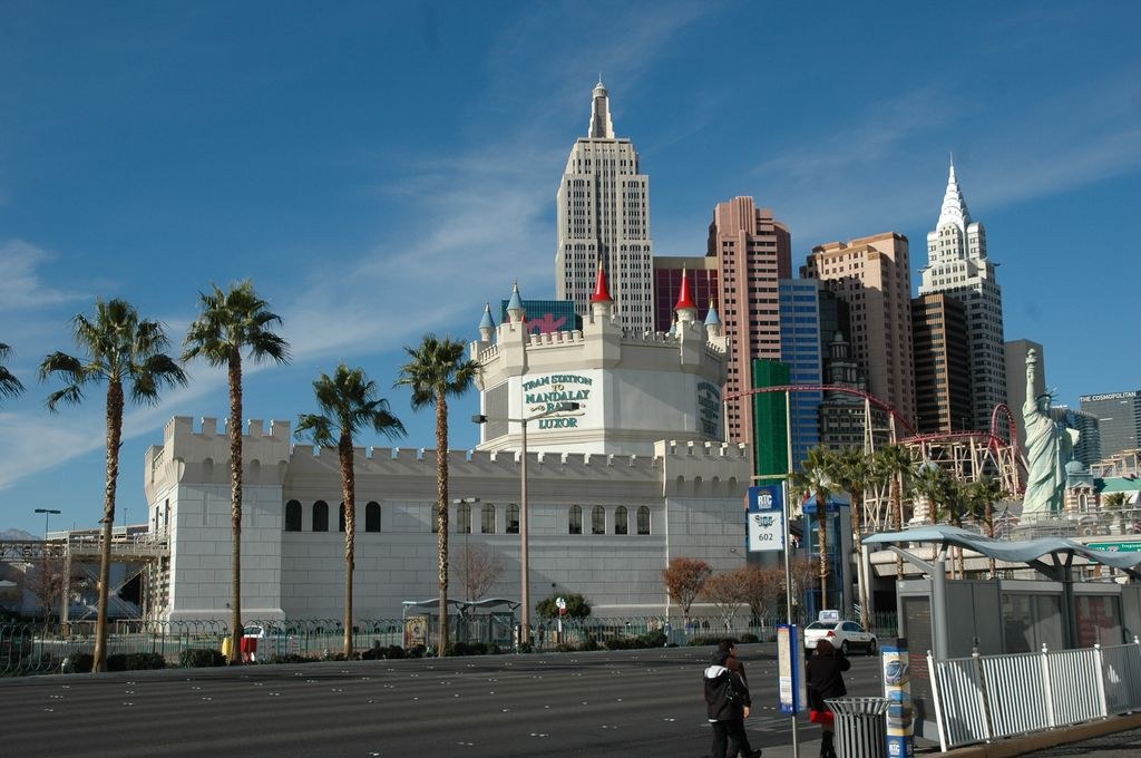 Armfight 40 Preparations