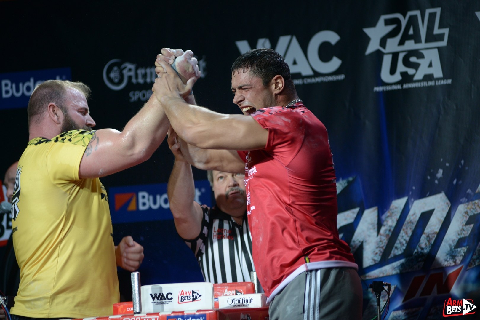 Armfight 45 Vendetta In Vegas