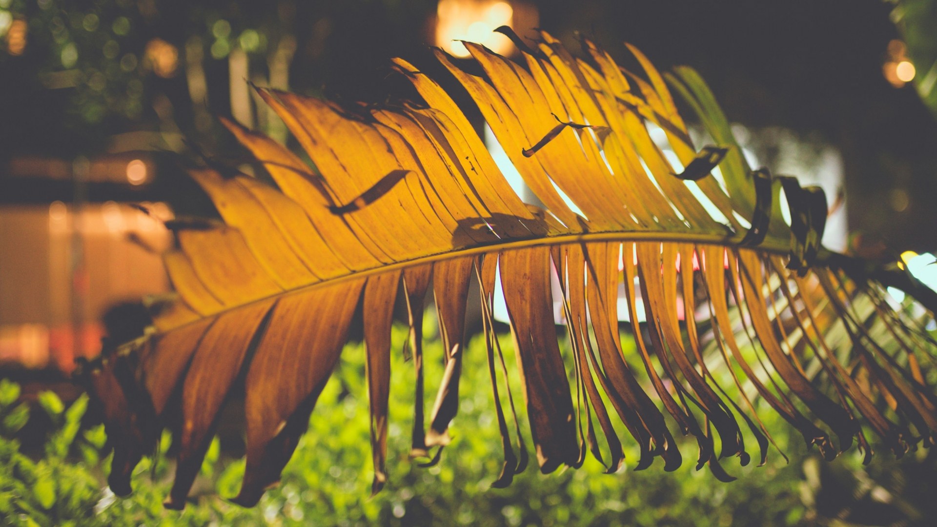 D1 China Open Top8 Stage 2