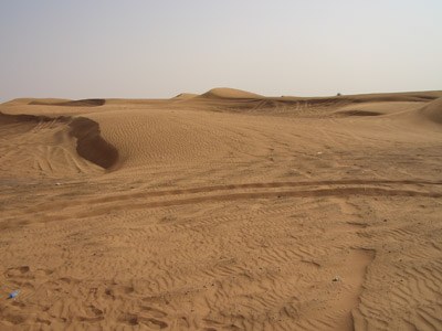 Dubai Safari Armwrestling