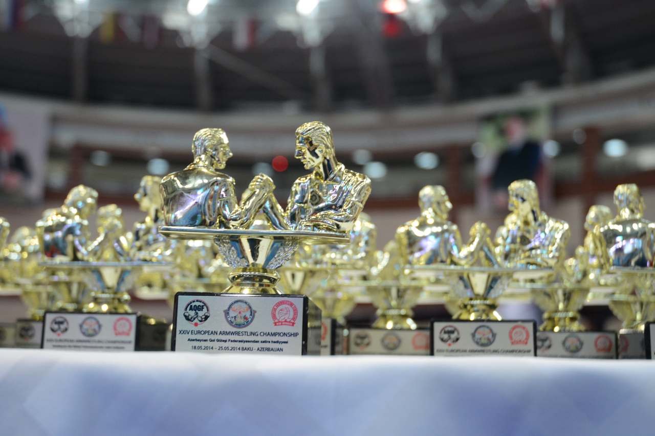 European Armwrestling Championships 2014 Seniors