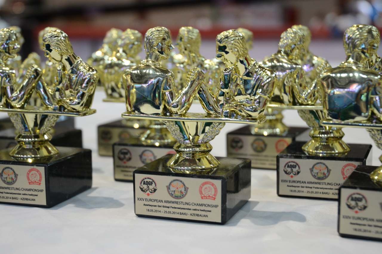 European Armwrestling Championships 2014 Seniors