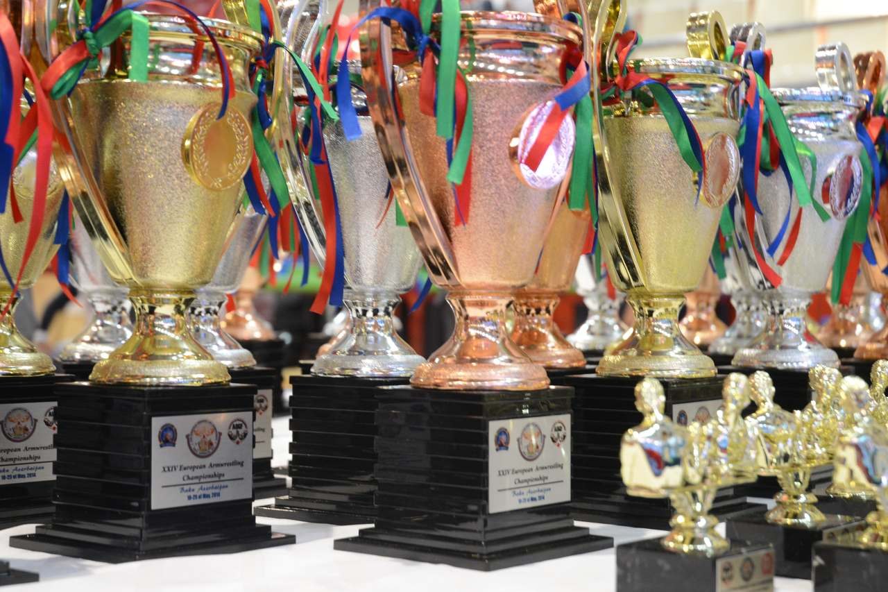 European Armwrestling Championships 2014 Seniors