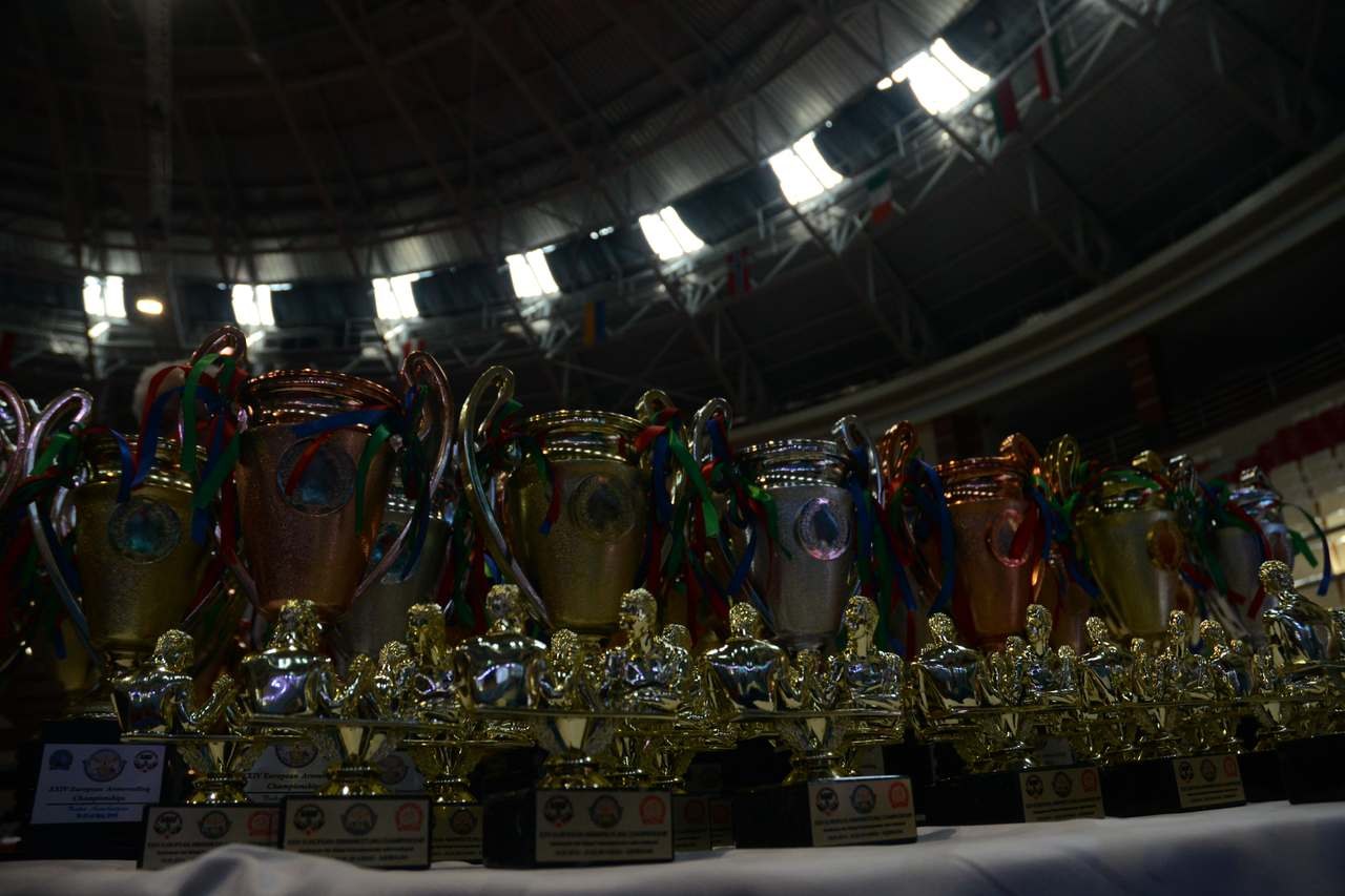 European Armwrestling Championships 2014 Seniors