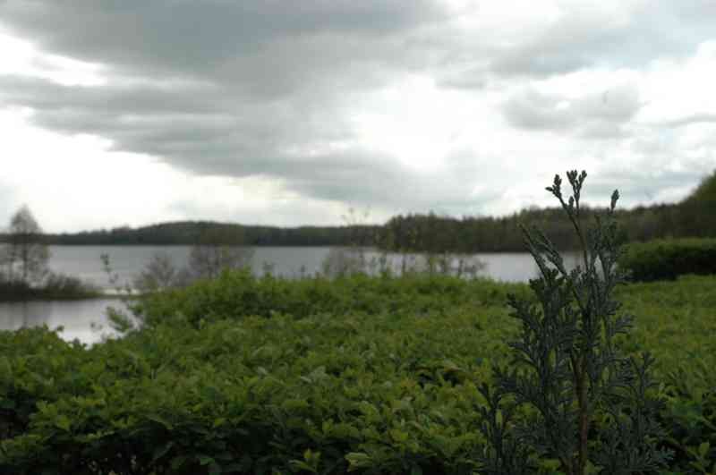 I Otwarte Mistrzostwa Pilawek W Armwrestlingu