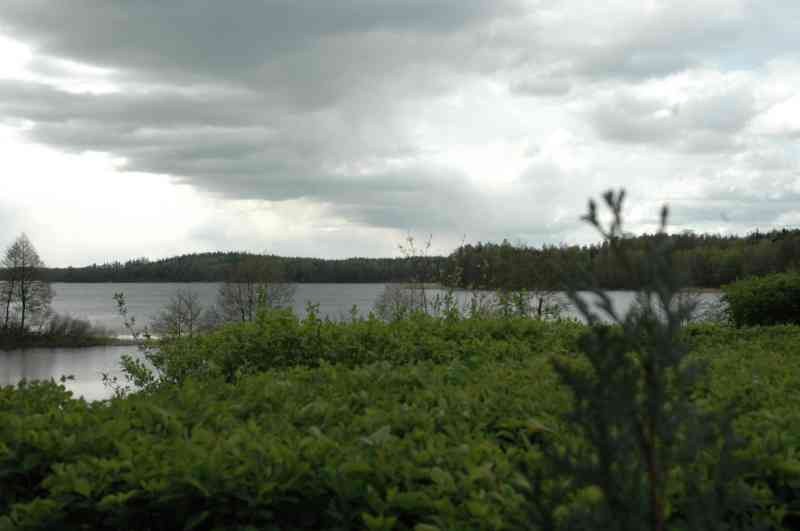 I Otwarte Mistrzostwa Pilawek W Armwrestlingu