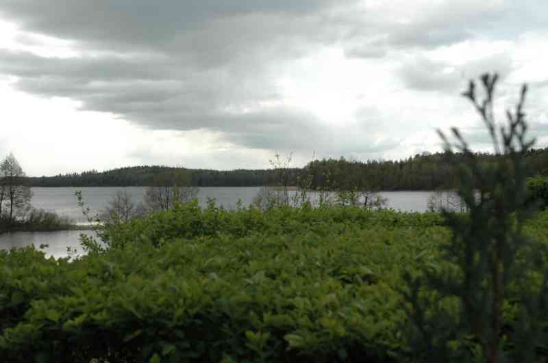 I Otwarte Mistrzostwa Pilawek W Armwrestlingu