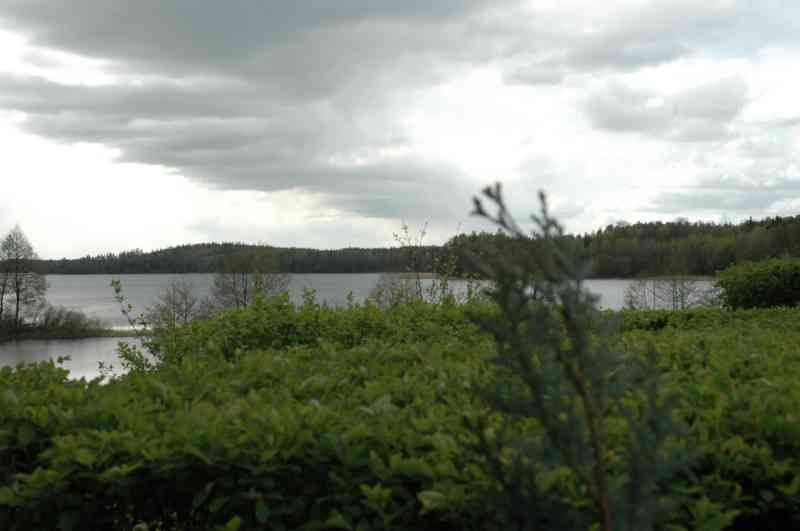 I Otwarte Mistrzostwa Pilawek W Armwrestlingu