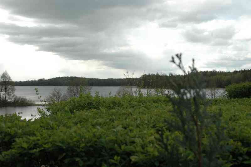 I Otwarte Mistrzostwa Pilawek W Armwrestlingu