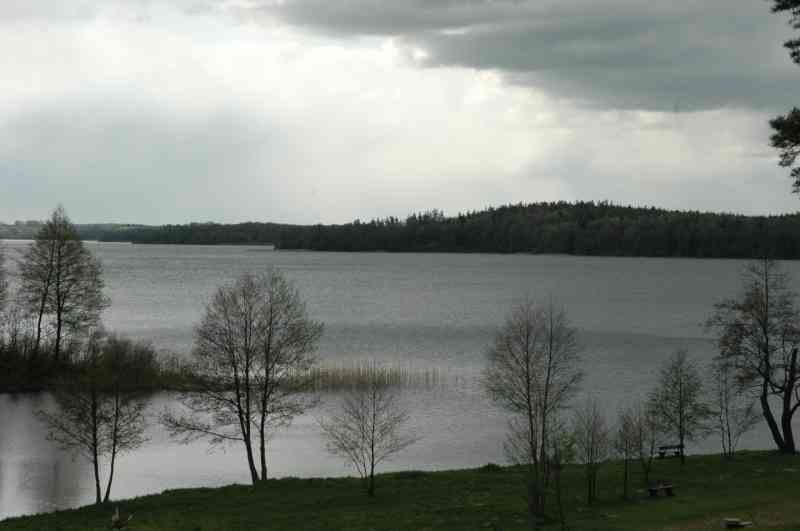 I Otwarte Mistrzostwa Pilawek W Armwrestlingu