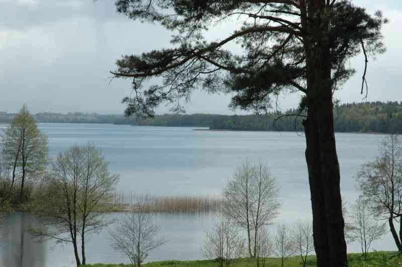 I Otwarte Mistrzostwa Pilawek W Armwrestlingu