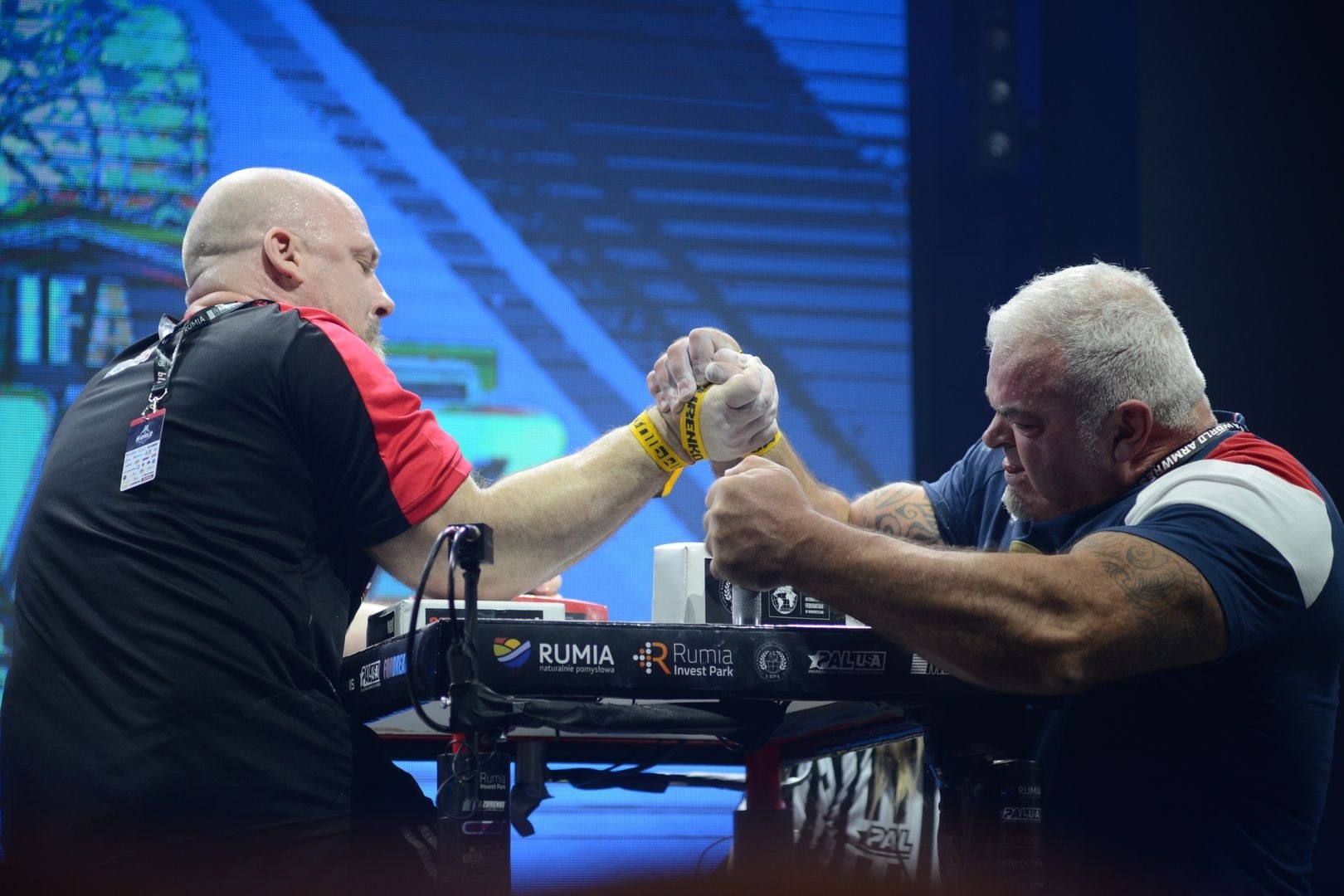 Ifa World Championship