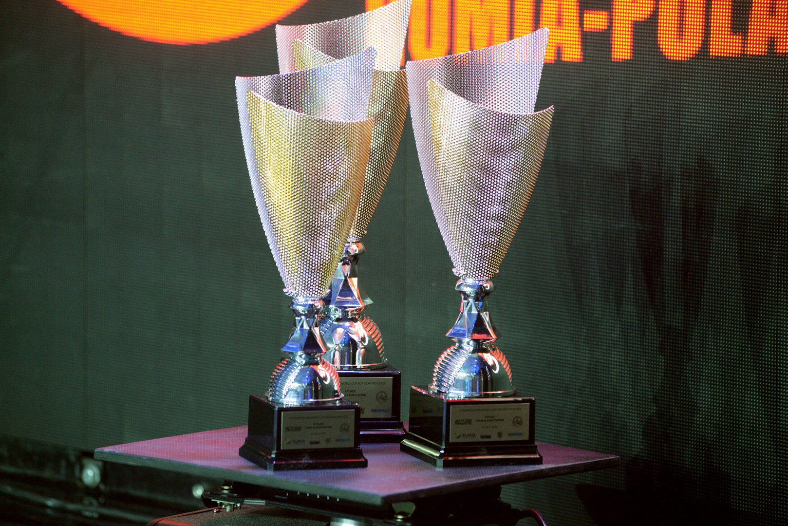 II World Cup For Disabled 2016 Left Hand