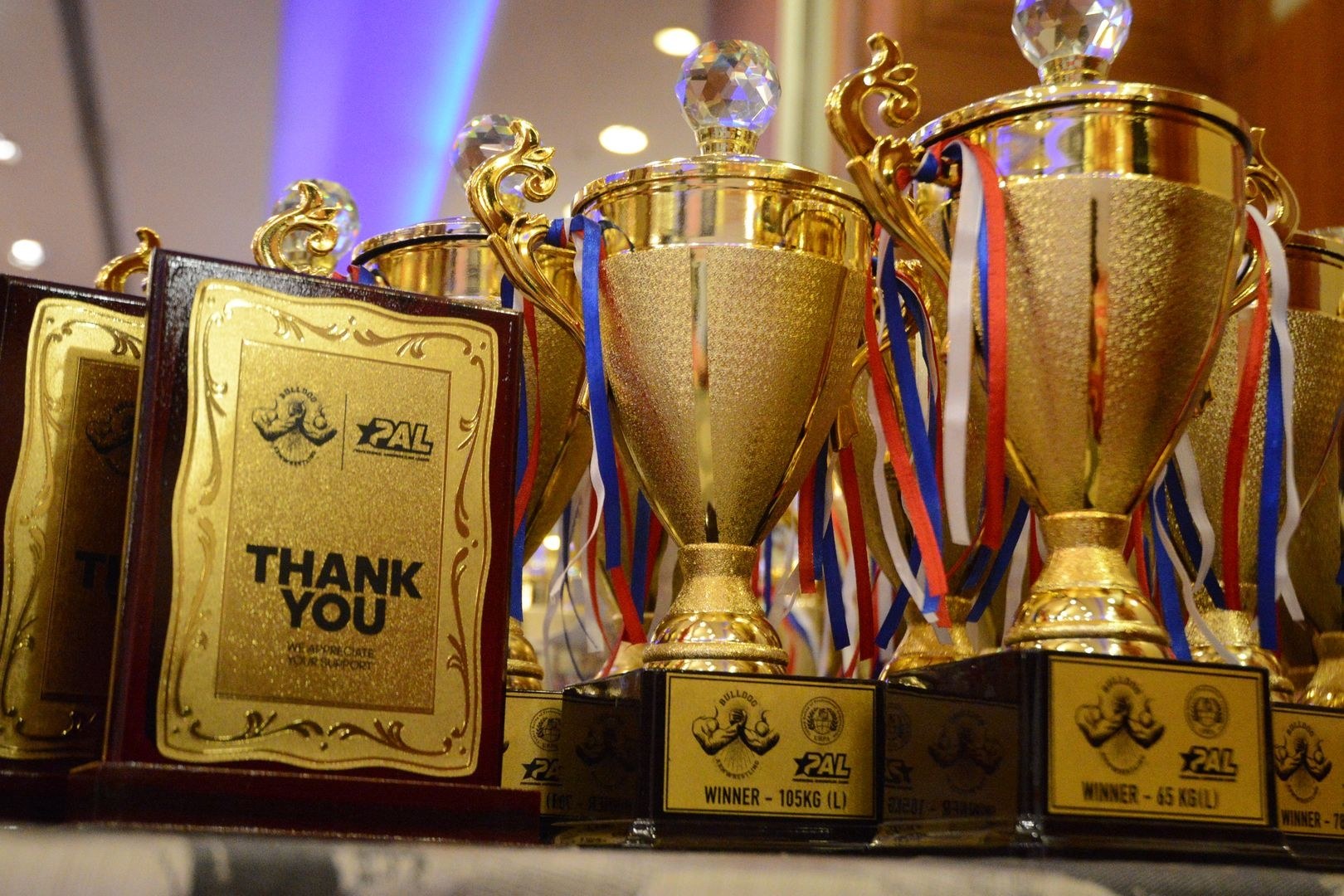 India Urpa World Ranking Series