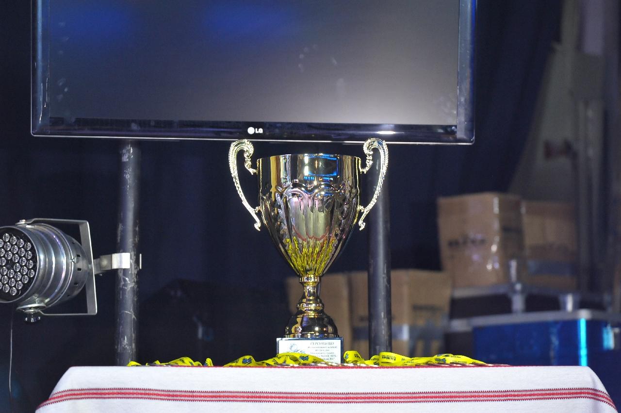 Lion Cup Fitmax Challenge Right Hand