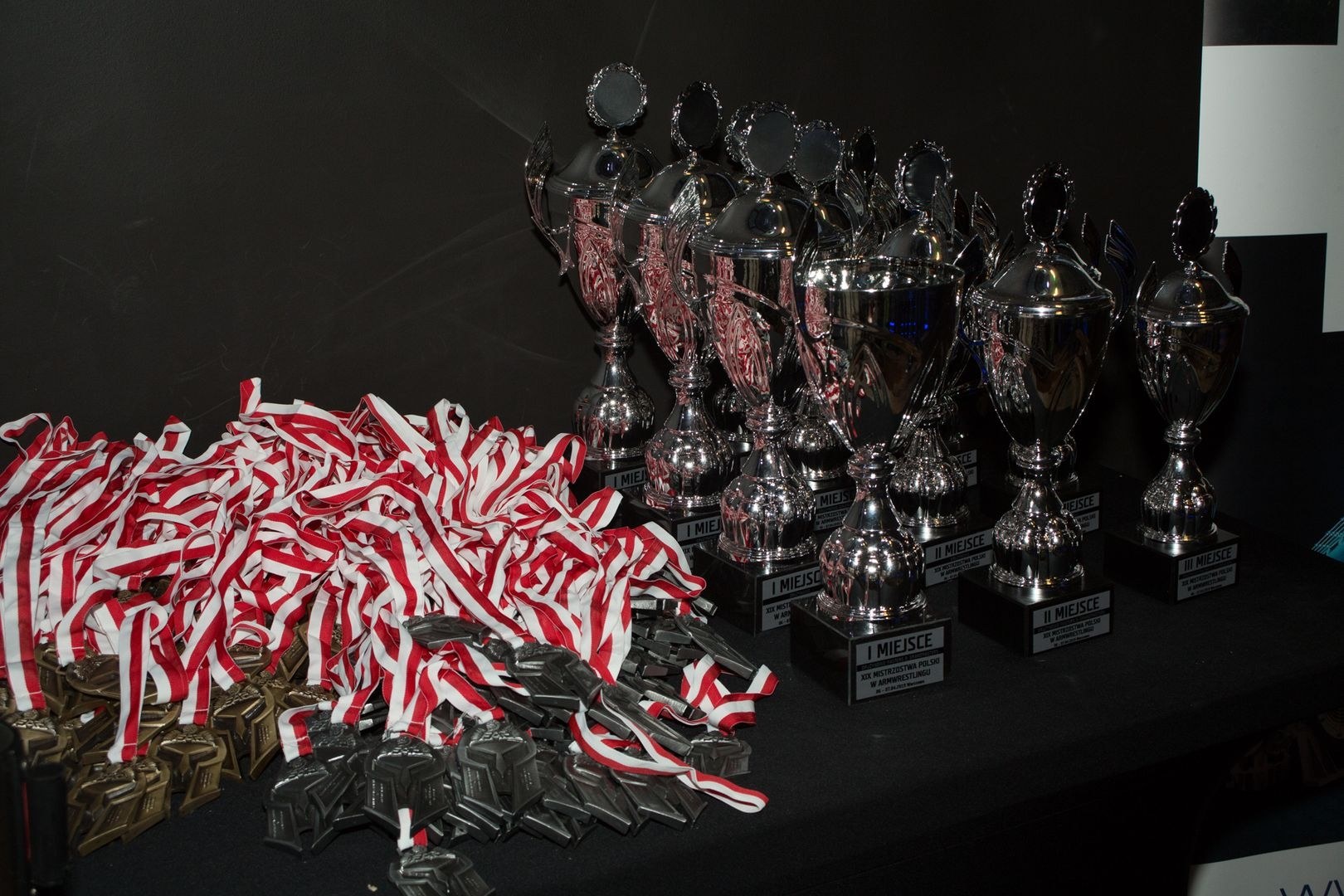 Mistrzostwa Polski 2019 W Armwrestlingu