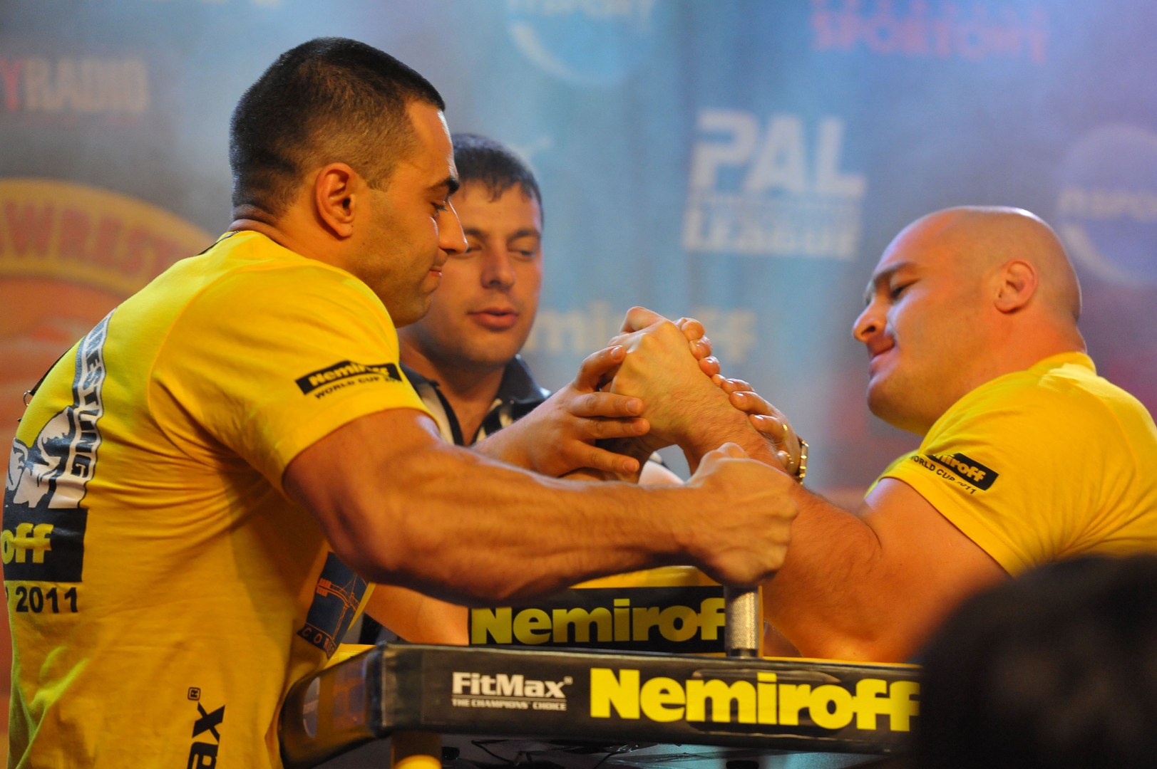 Nemiroff 2011 Left Hand