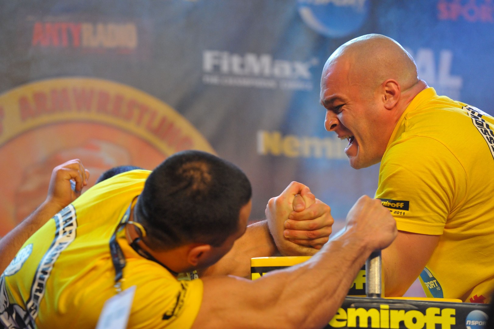 Nemiroff 2011 Left Hand