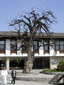 Open Bansko Bulgaria