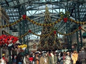 Polska Kadra W Disneyland