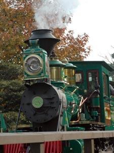 Polska Kadra W Disneyland