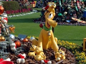 Polska Kadra W Disneyland