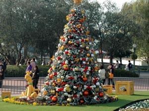 Polska Kadra W Disneyland