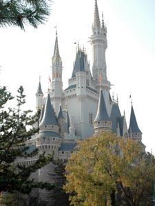 Polska Kadra W Disneyland