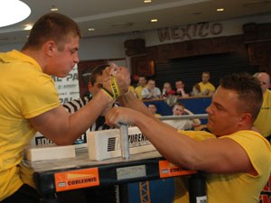 Polska Liga Zawodowa