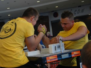 Polska Liga Zawodowa