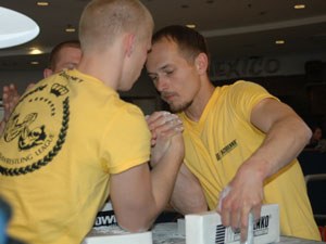 Polska Liga Zawodowa