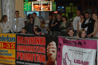 Polska Liga Zawodowa