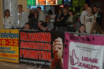 Polska Liga Zawodowa