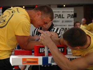 Polska Liga Zawodowa