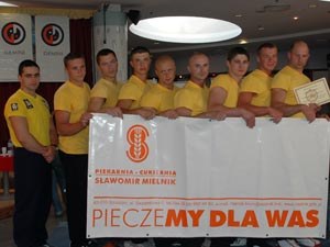 Polska Liga Zawodowa