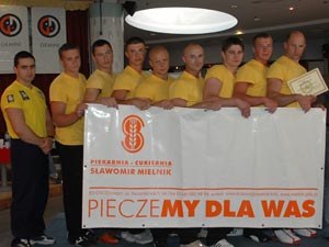 Polska Liga Zawodowa