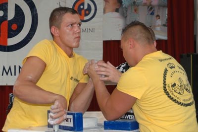 Polska Liga Zawodowa