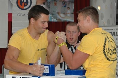 Polska Liga Zawodowa