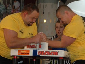 Polska Liga Zawodowa