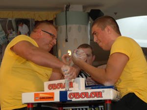 Polska Liga Zawodowa